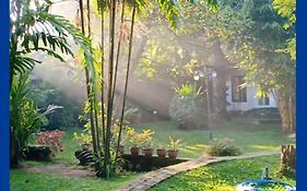 Mango House Japanese Guest House